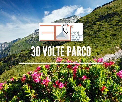30_VOLTE_PARCO_COPERTINA