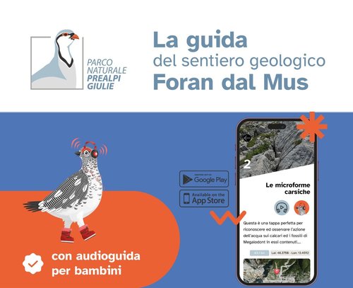 APP Foran dal Mus ban (2).jpg