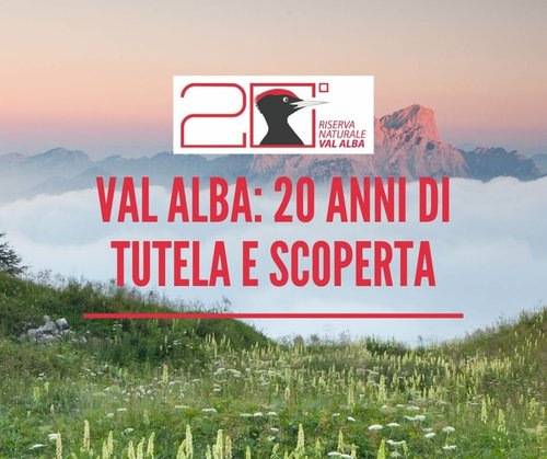 VAL_ALBA_20_ANNI_DI_TUTELA_E_SCOPERTA