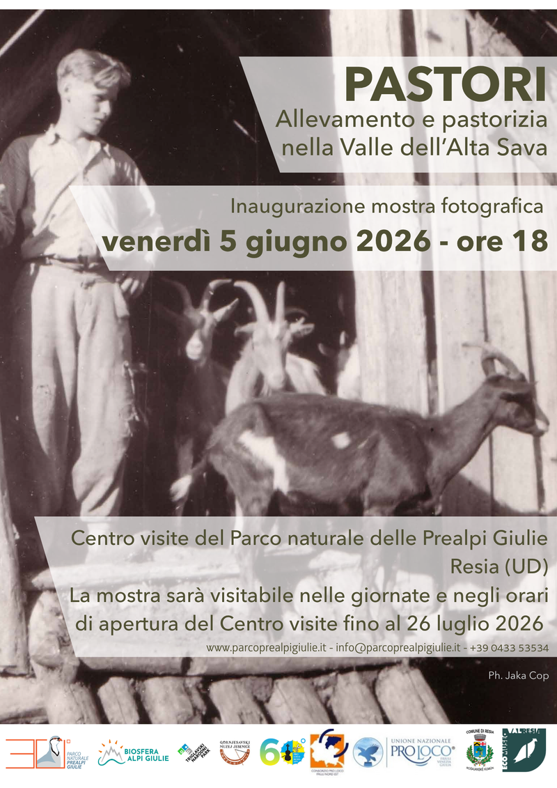 Locandina Pastirci 2026
