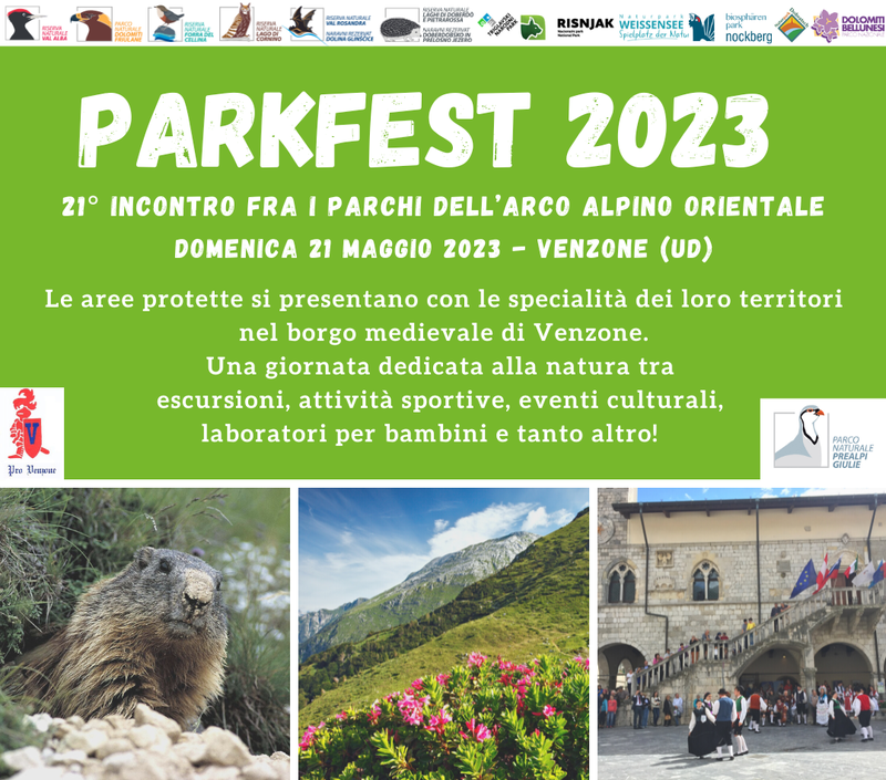 Parkfest2023sito.png