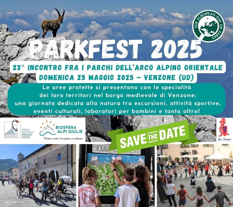Parkfest2025 STD.jpg