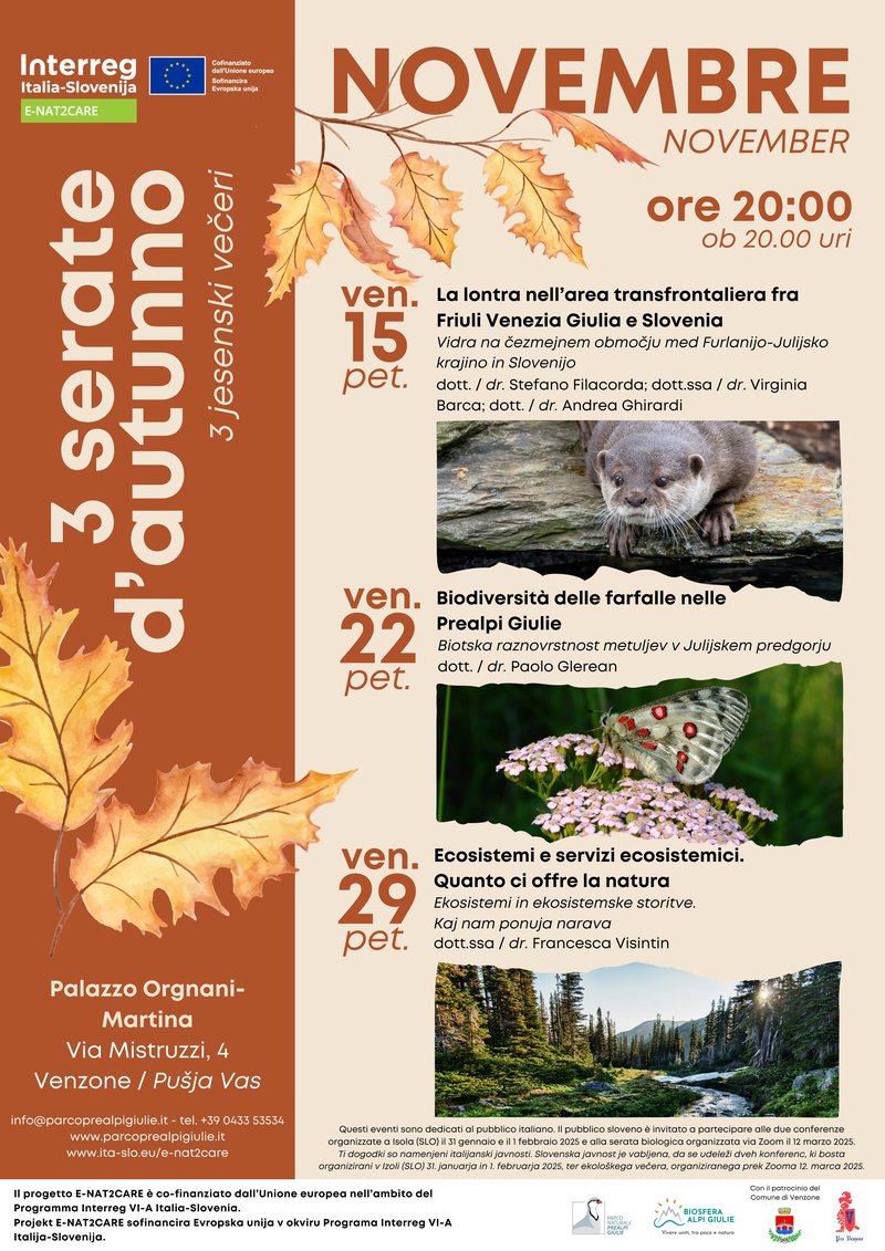 Serate d&#x27;autunno 2024