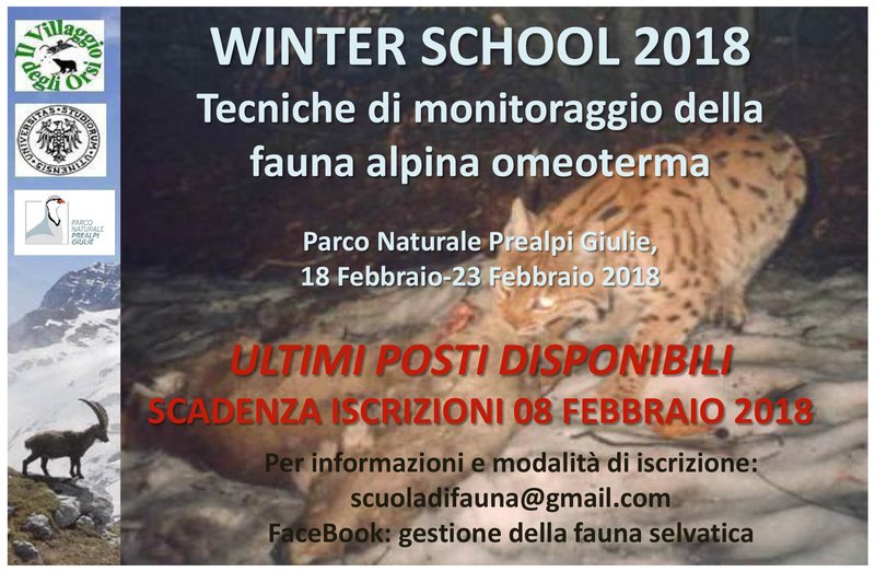 VOLANTINO_WHINTER_SCHOOL_2018.jpg