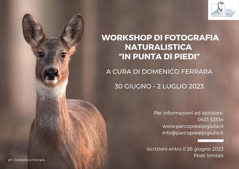 Workshop fotografico IN PUNTA DI PIEDI 3006-02072023 .png