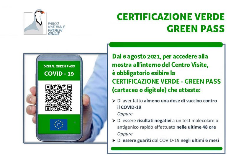 green-pass_certificazione.jpg