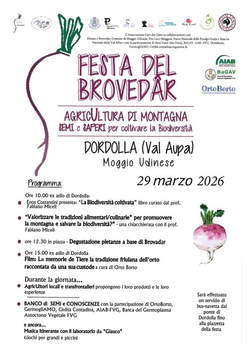 locandinaFestaDelBrovadar2026