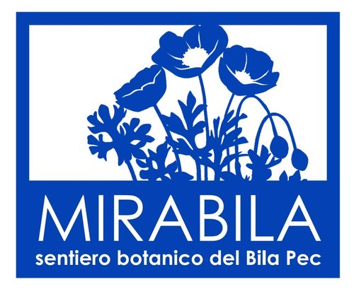 logo_MIRABILA_.jpg